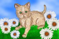 Daisy Dew
